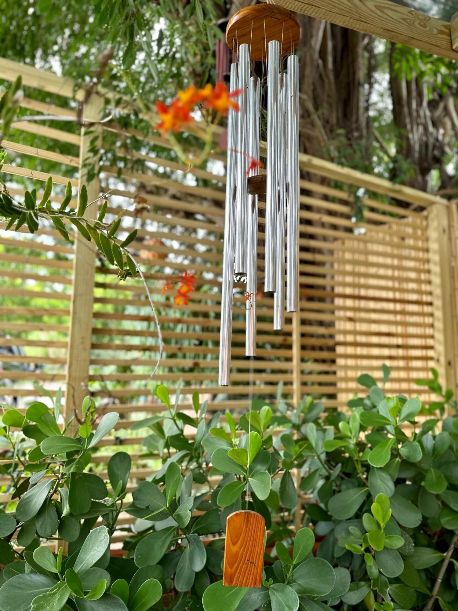 Flora'S Garden Apartment/Studio North Miami Eksteriør bilde